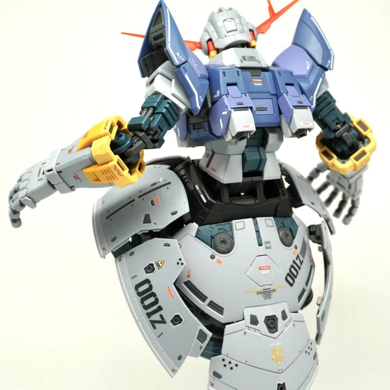 GaoGao Zeong RG 1/144 MSN 02 M - đánh giá và giá Model Kit Pg