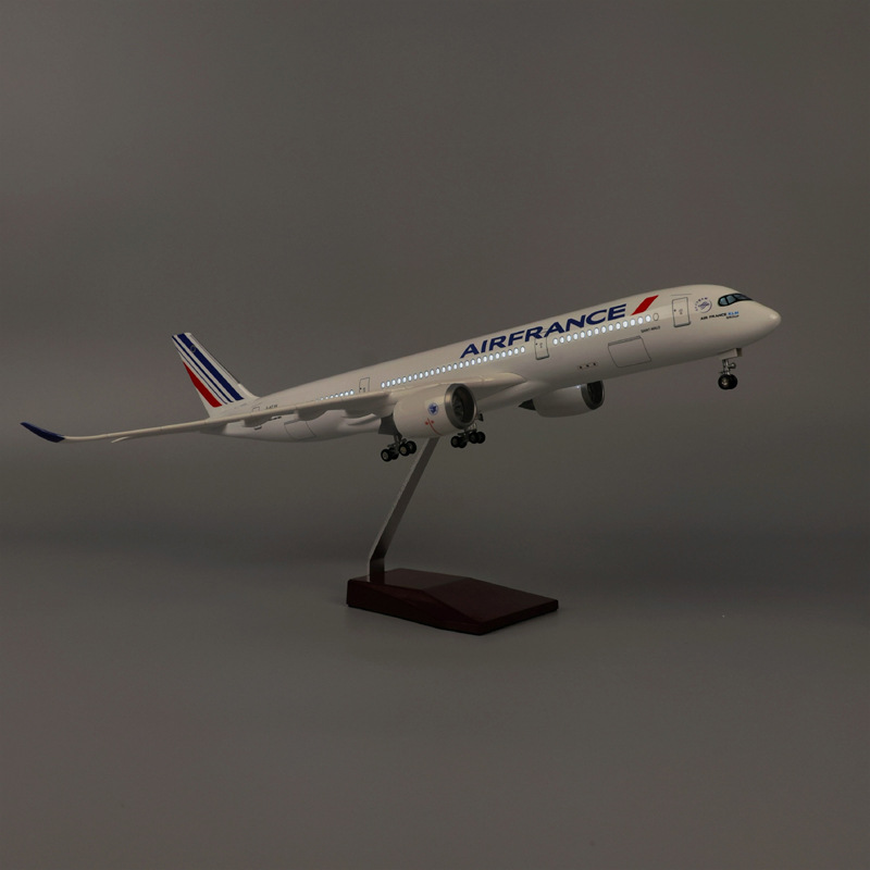 47cm Air France A350 Model Air - đánh giá và giá Model Kit Simulator